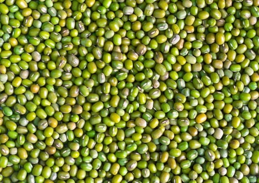 Mung beans
